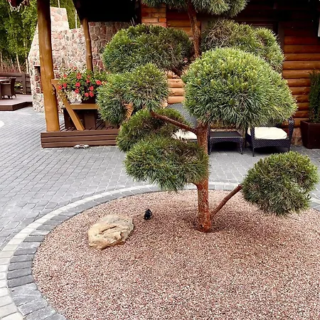 Poilsis Kunigiskiuose * Połąga