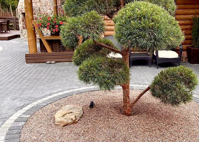 Poilsis Kunigiskiuose * Palanga